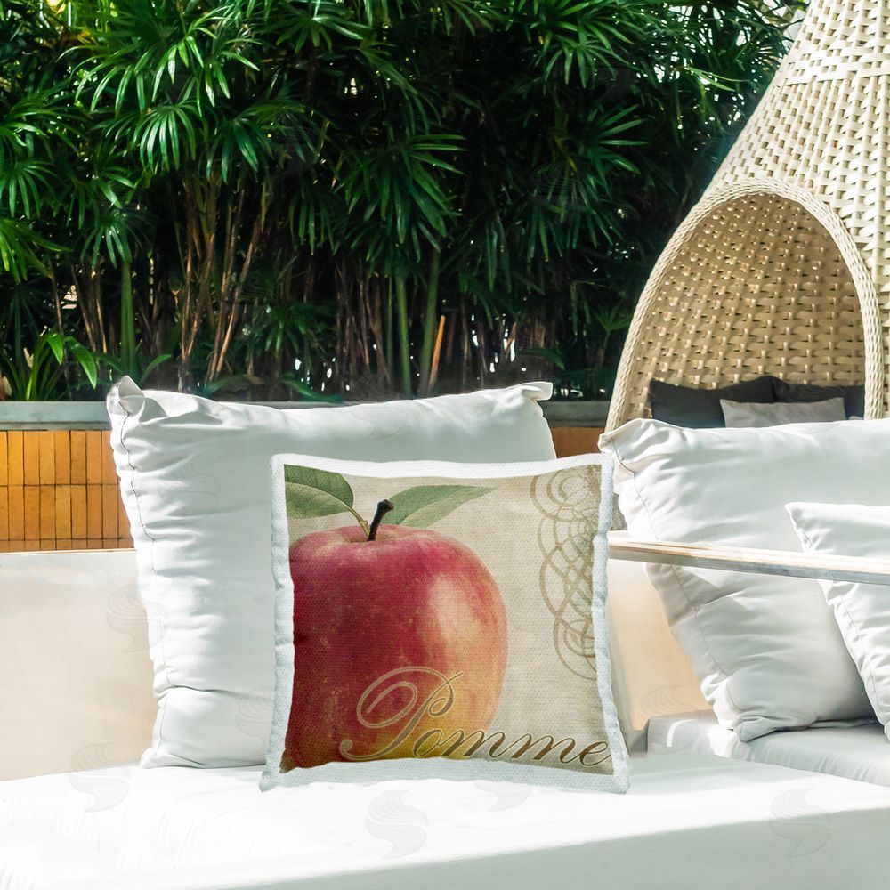 Sasha Vintage French Apple Outdoor Quick-Dry Polyester Printed Throw Pillow in Back Yard
