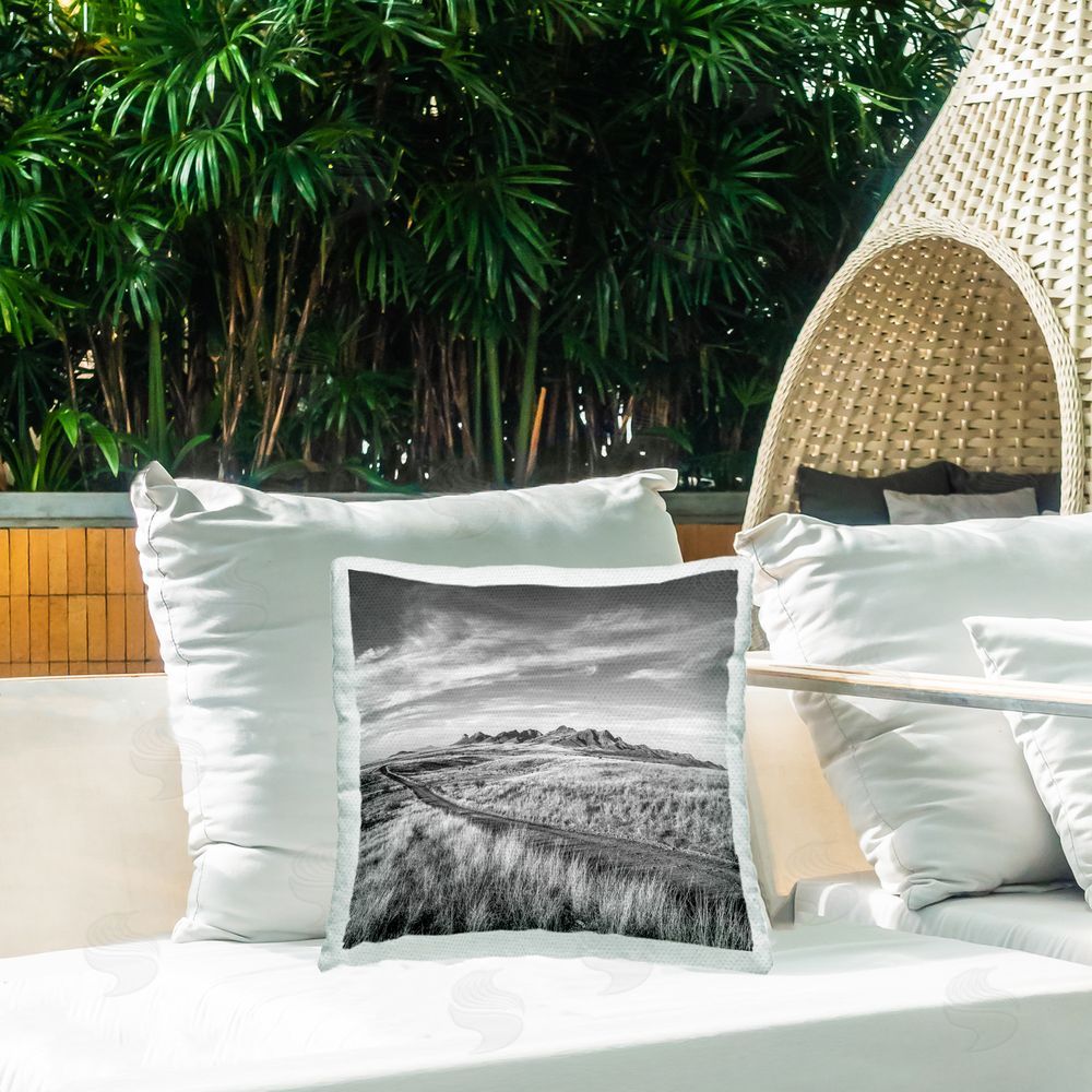 Murray Bolesta Deserted Path Landscape Outdoor Quick-Dry Polyester Printed Throw Pillow in Back Yard