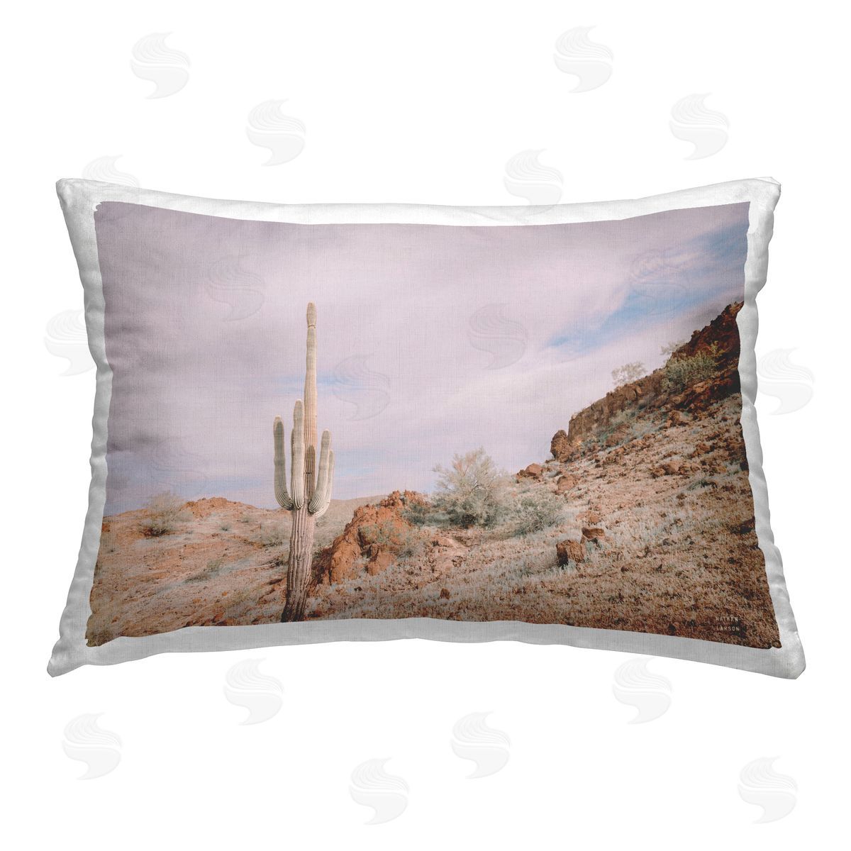 Nathan Larson The Climb Desertscape Printed Plush Polyester Throw Pillow