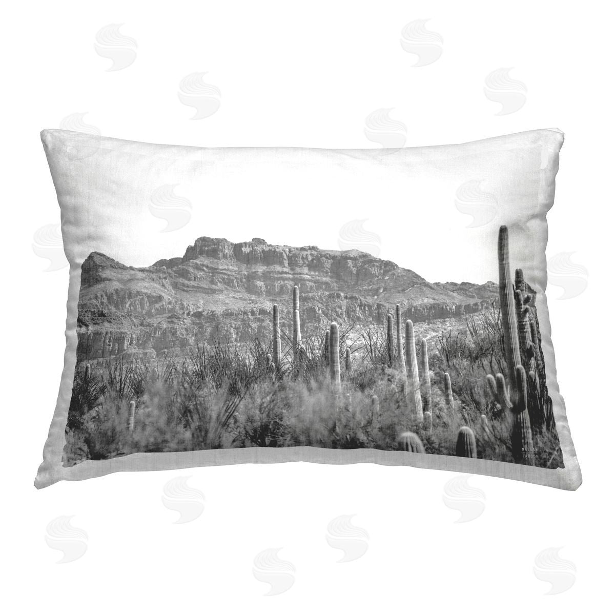 Nathan Larson American Borderlands Desertscape Printed Plush Polyester Throw Pillow