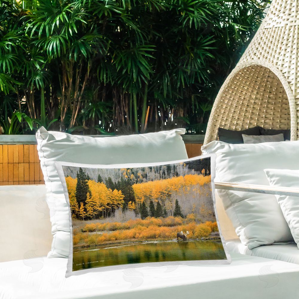 Chris Vest Moose at Priest Lake Outdoor Quick-Dry Polyester Printed Throw Pillow in Back Yard