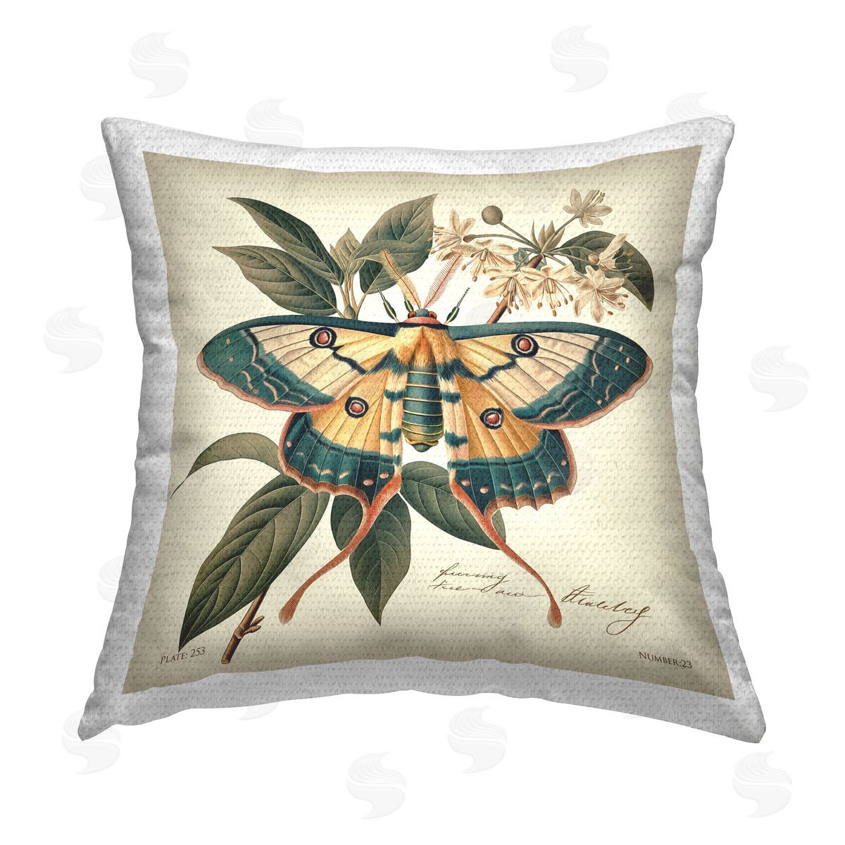 Steve Hunziker Vintage Moth & Plant Study Outdoor Quick-Dry Polyester Printed Throw Pillow