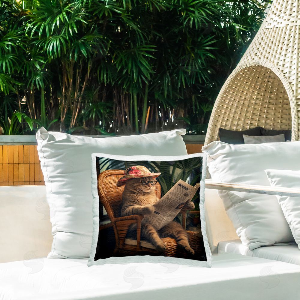 RB Funny Cat & Newspaper Outdoor Quick-Dry Polyester Printed Throw Pillow in Back Yard
