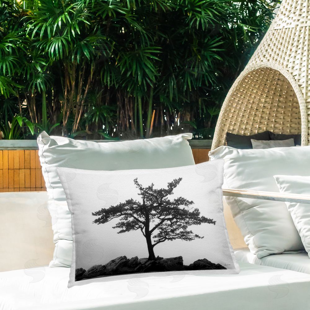 Lori Deiter Lone Tree on Rocks Outdoor Quick-Dry Polyester Printed Throw Pillow in Back Yard