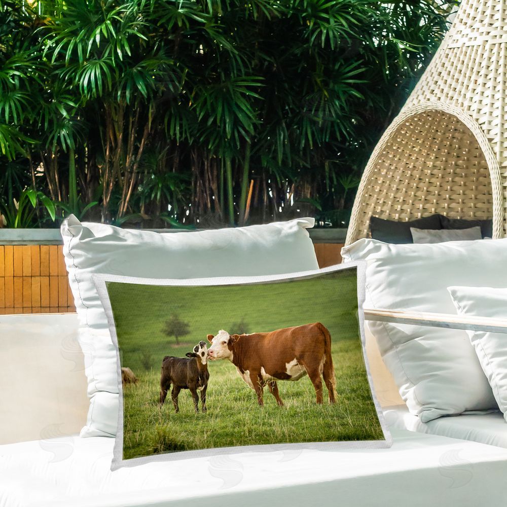 Marty Hulsebos Cow & Calf Preening Outdoor Quick-Dry Polyester Printed Throw Pillow in Back Yard