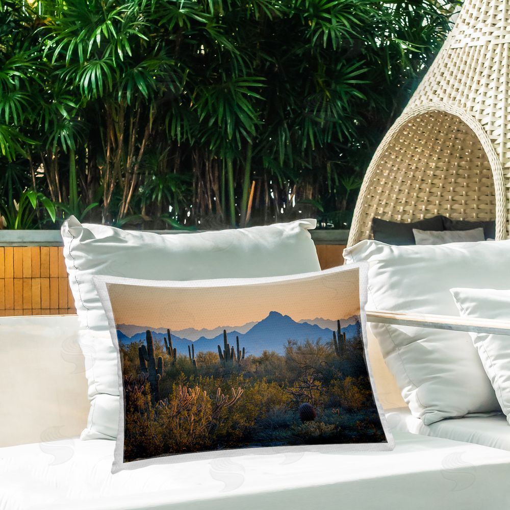 Marty Hulsebos Contrasting Desertscape Scene Outdoor Quick-Dry Polyester Printed Throw Pillow in Back Yard
