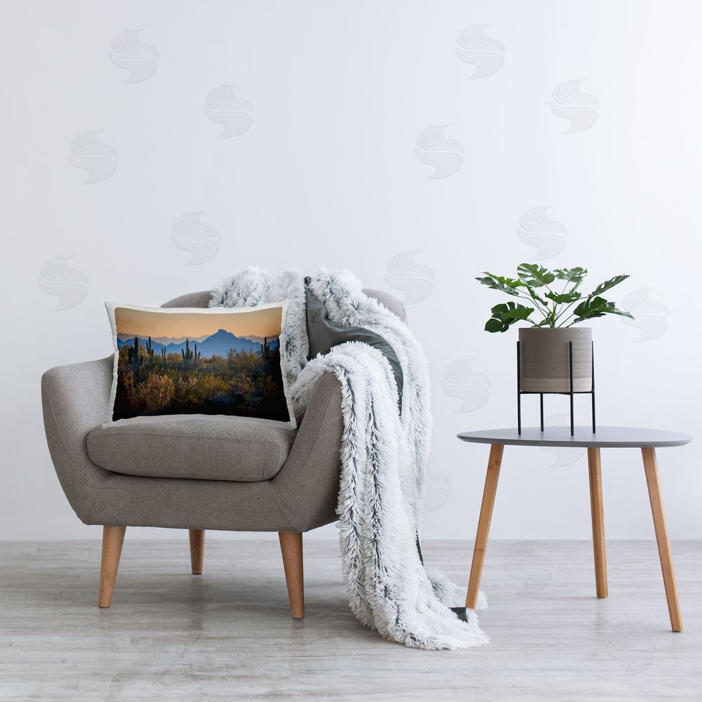 Marty Hulsebos Contrasting Desertscape Scene Printed Plush Polyester Throw Pillow On Chair