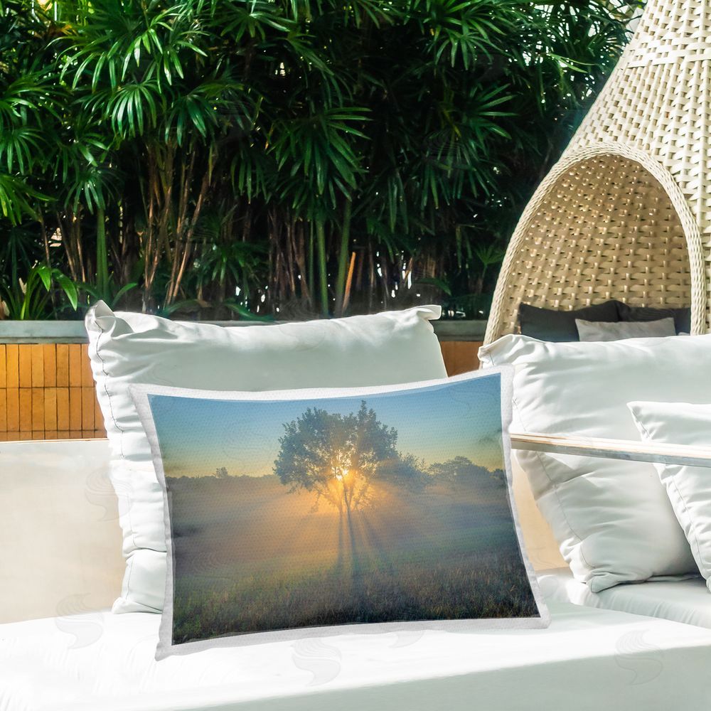 Marty Hulsebos Bright Sunlit Tree Outdoor Quick-Dry Polyester Printed Throw Pillow in Back Yard