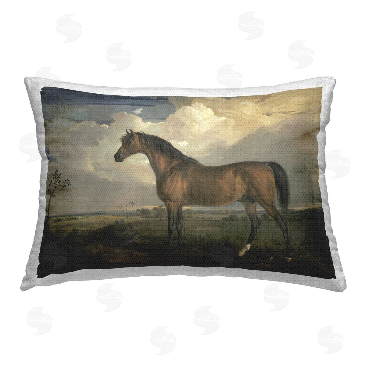 James Ward Overcast Clouds & Horse Outdoor Quick-Dry Polyester Printed Throw Pillow