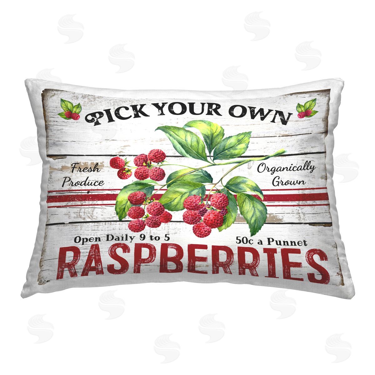 Creatif Belle Pick Your Own Raspberries Printed Plush Polyester Throw Pillow