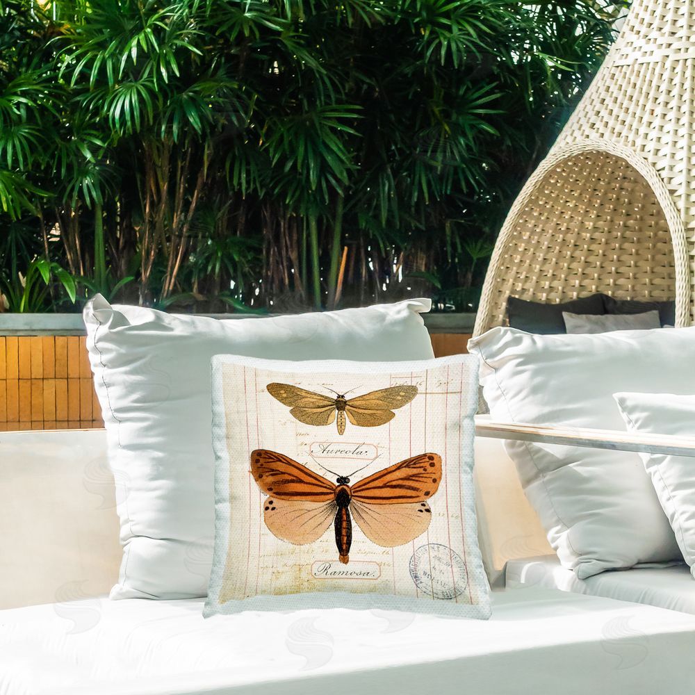 Susan Arnot Butterfly Latin Studies Outdoor Quick-Dry Polyester Printed Throw Pillow in Back Yard