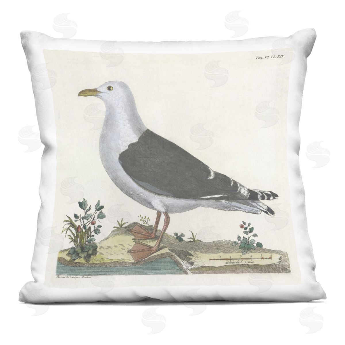 Phillipa Katz Vintage Seagull Study Diagram Printed Plush Polyester Throw Pillow