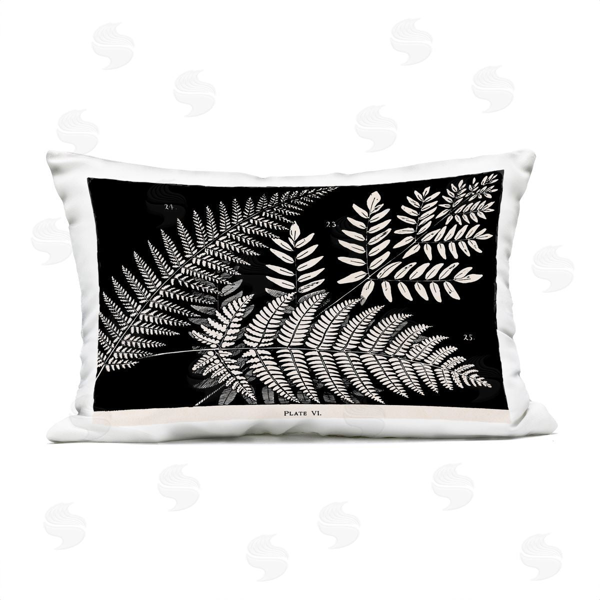 Phillipa Katz Fern Varieties on Black Plush Polyester Art Print Pillow