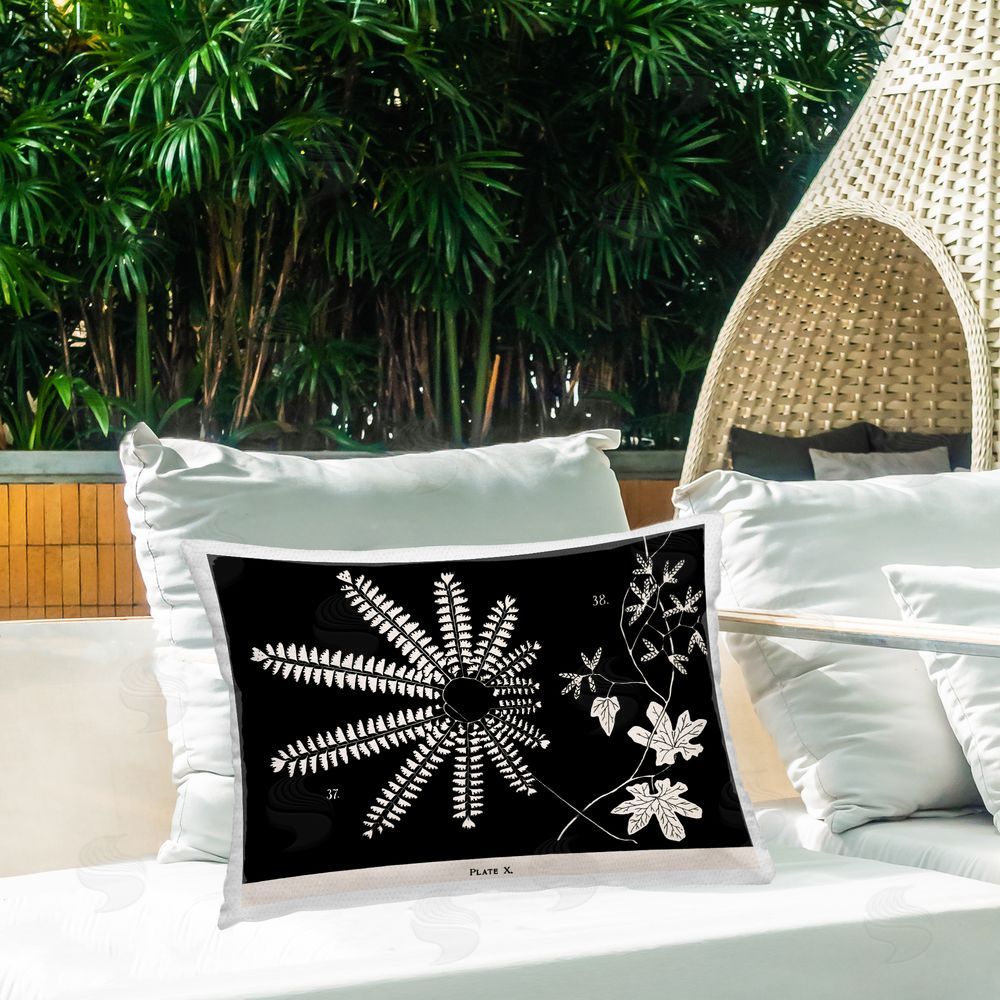 Phillipa Katz Ferns & Leaves on Black Outdoor Quick-Dry Polyester Printed Throw Pillow in Back Yard