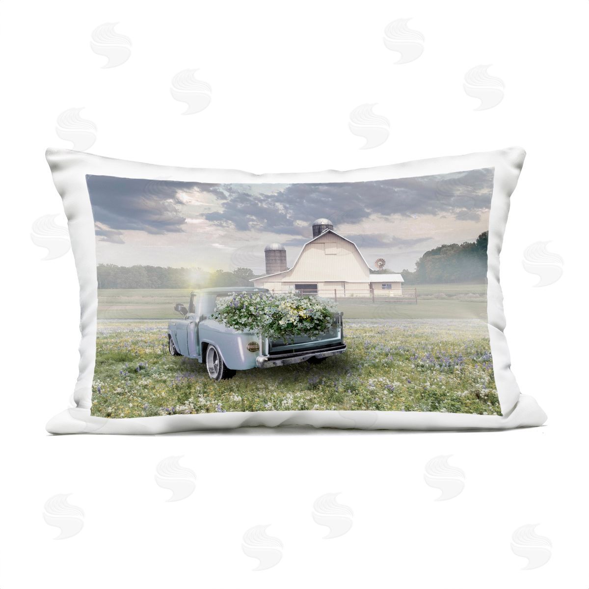 Nan Sun Bleached Barn & Truck Plush Polyester Art Print Pillow