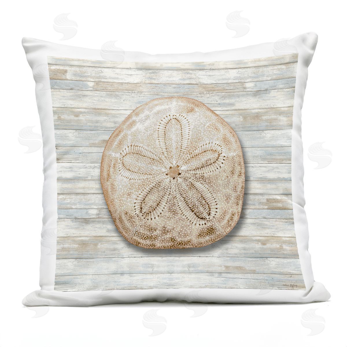 Amber Sterling Sand Dollar On Shiplap Plush Polyester Art Print Pillow