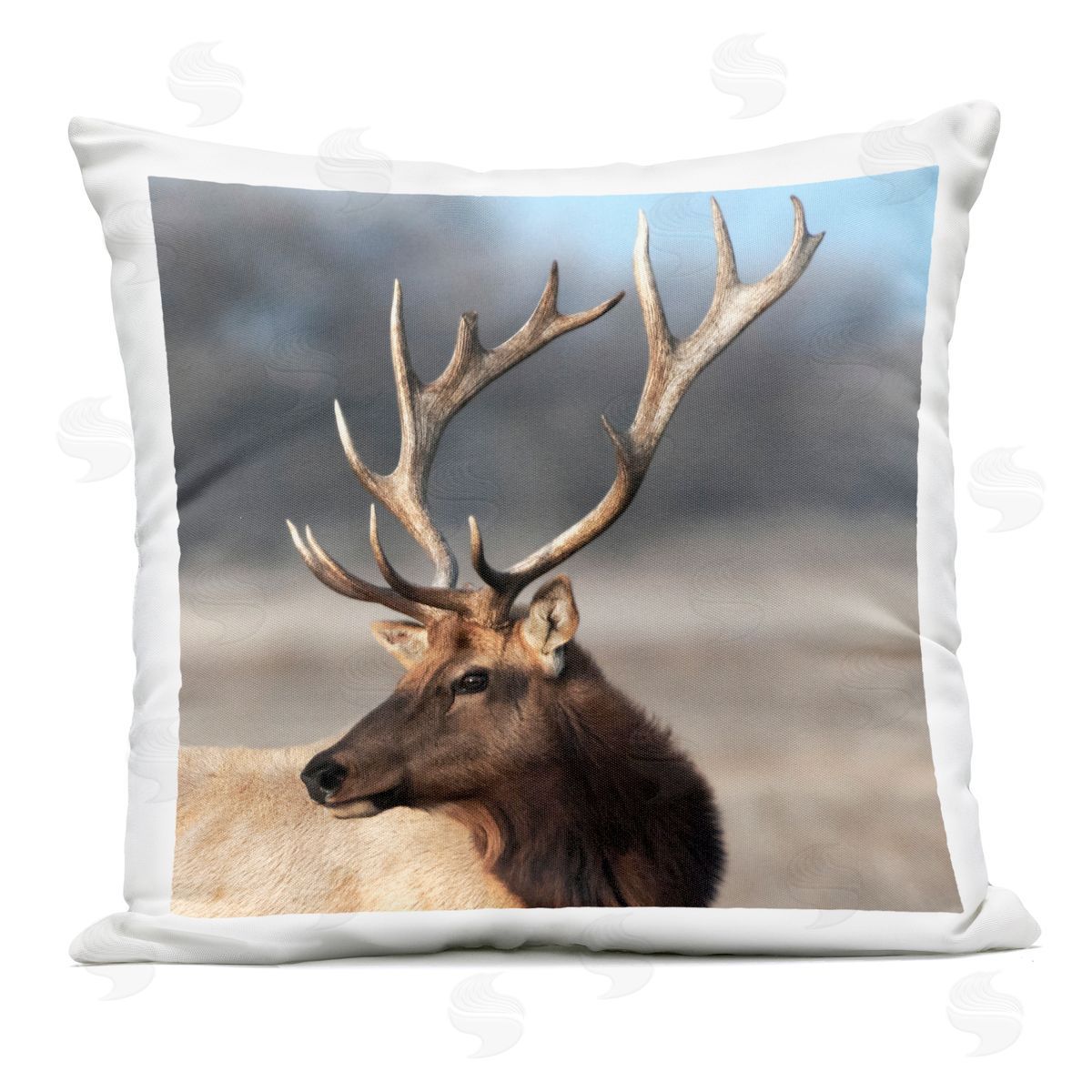 Danita Delimont Stunning Elk Portrait Outdoor Printed Pillow