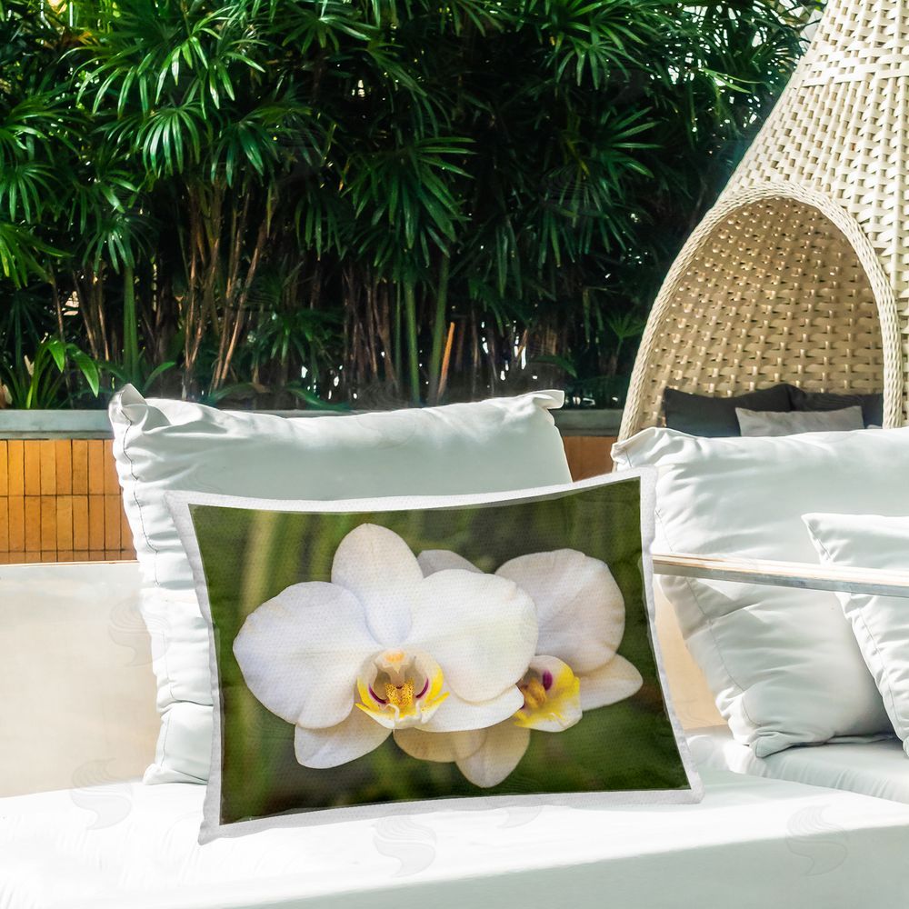 Seven Trees Design Orchid Blossom Glow Outdoor Printed Throw Pillow on Patio