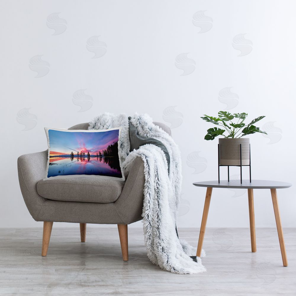 Jon Evan Gull Point At Sunrise Printed Indoor Throw Pillow in Room