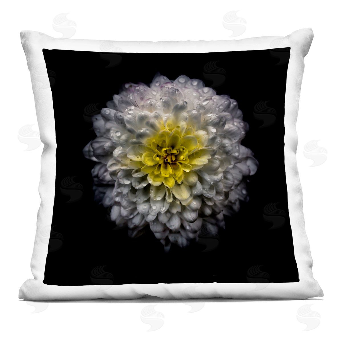 Brian Carson Photography White And Yellow Mum Square Printed Throw Pillow