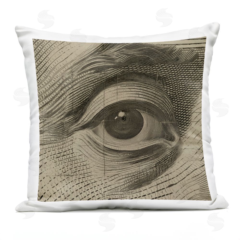 Svetlana Aleynikova Franklin's Gaze Eye Outdoor Printed Throw Pillow