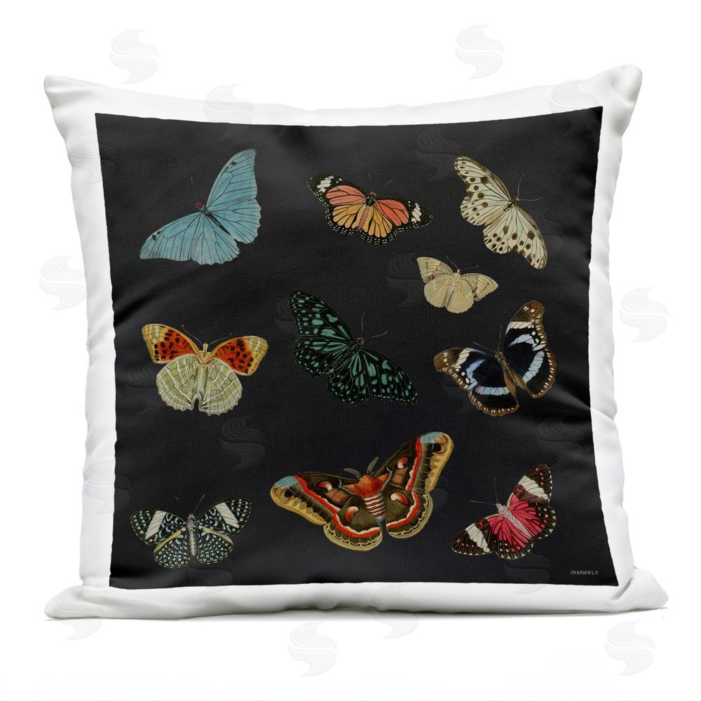 Dan Meneely Butterfly Assortment on Black Outdoor Printed Throw Pillow