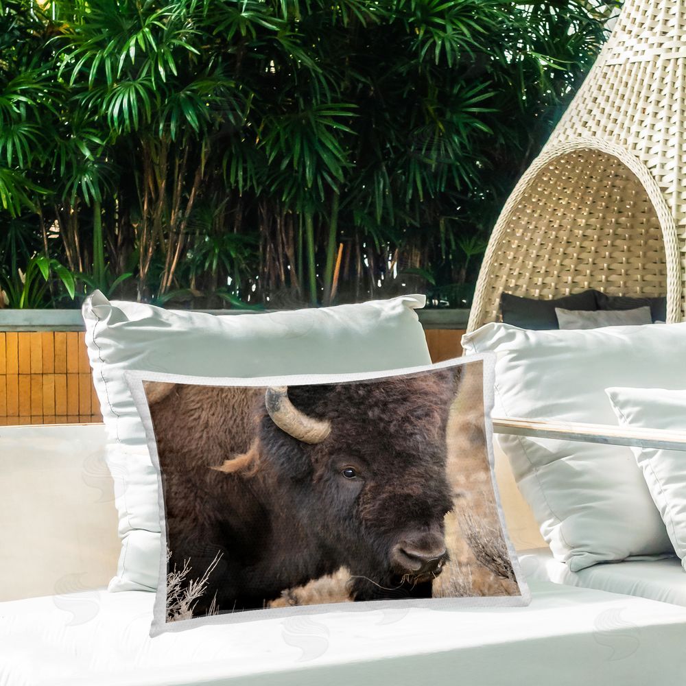 Lori Deiter Spirit Of The Plains Outdoor Quick-Dry Polyester Printed Lumbar Pillow on Patio