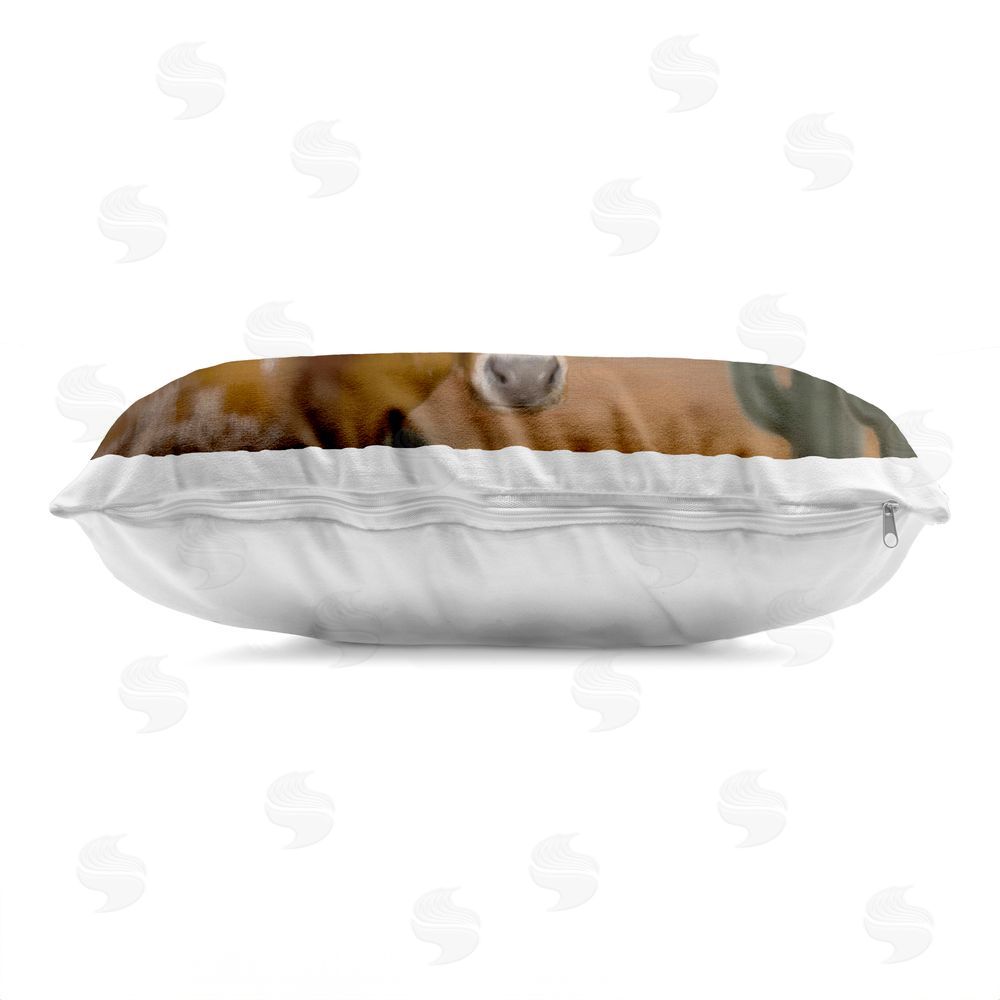 Matthew Piotrowicz Longhorn Western Landscape Indoor Plush Polyester Lumbar Pillow Zipper Detail