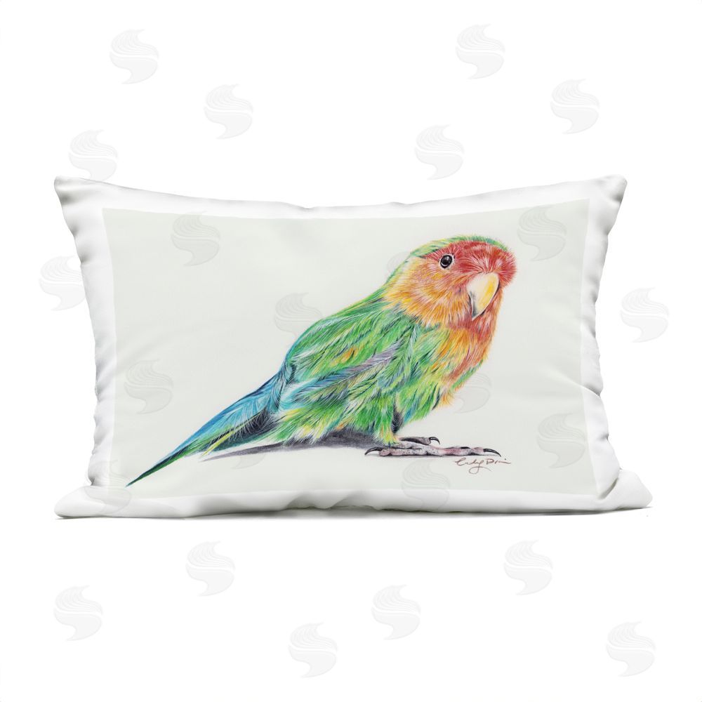 Cady Driver Rainbow Gradient Parakeet Outdoor Printed Throw Pillow