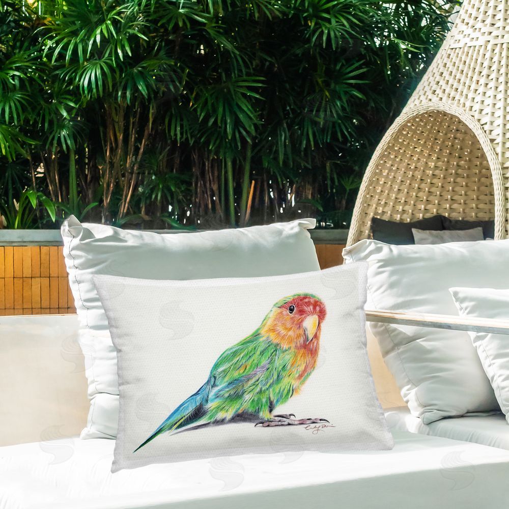 Cady Driver Rainbow Gradient Parakeet Outdoor Printed Throw Pillow on Patio