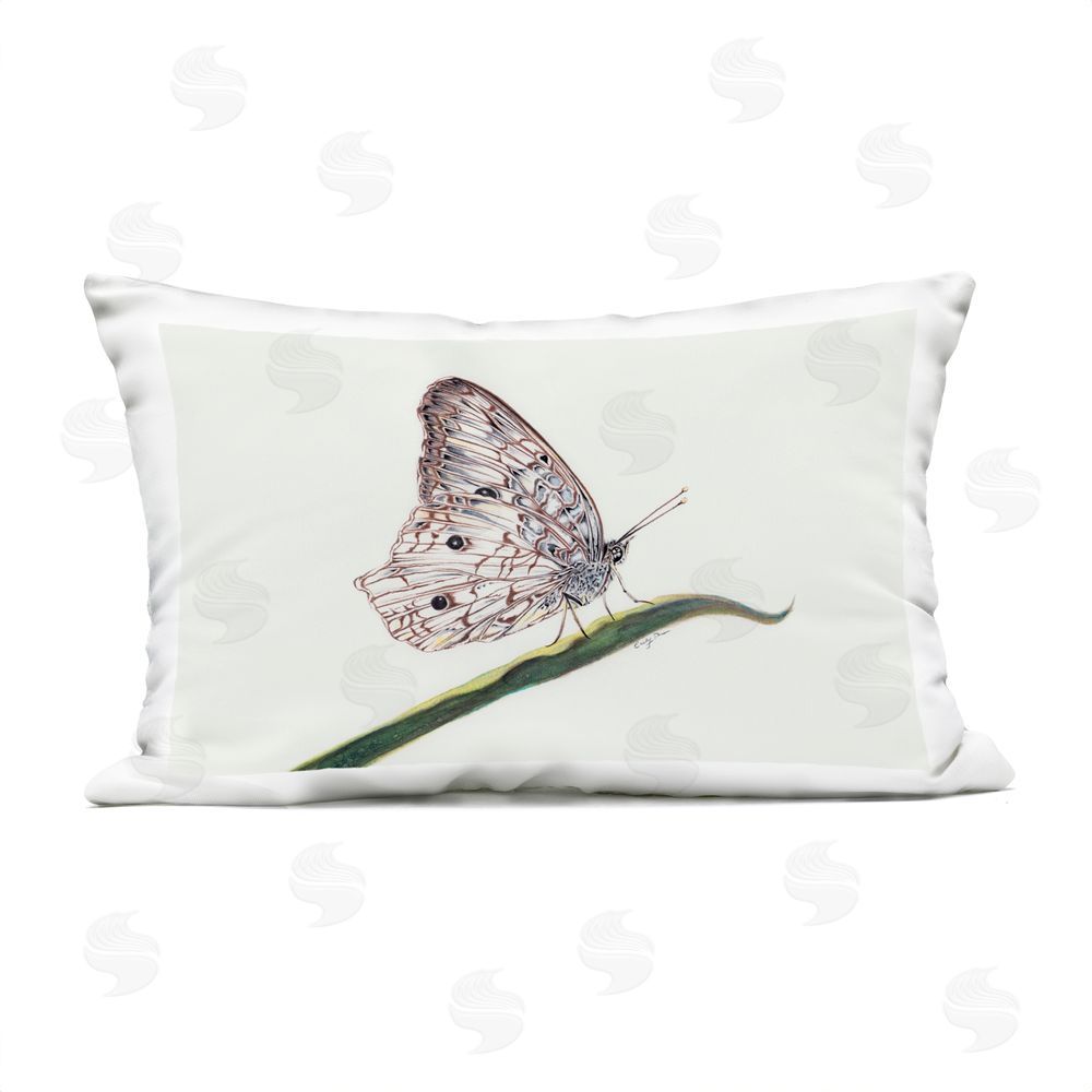 Cady Driver Intricate Butterfly on Twig Outdoor Printed Throw Pillow