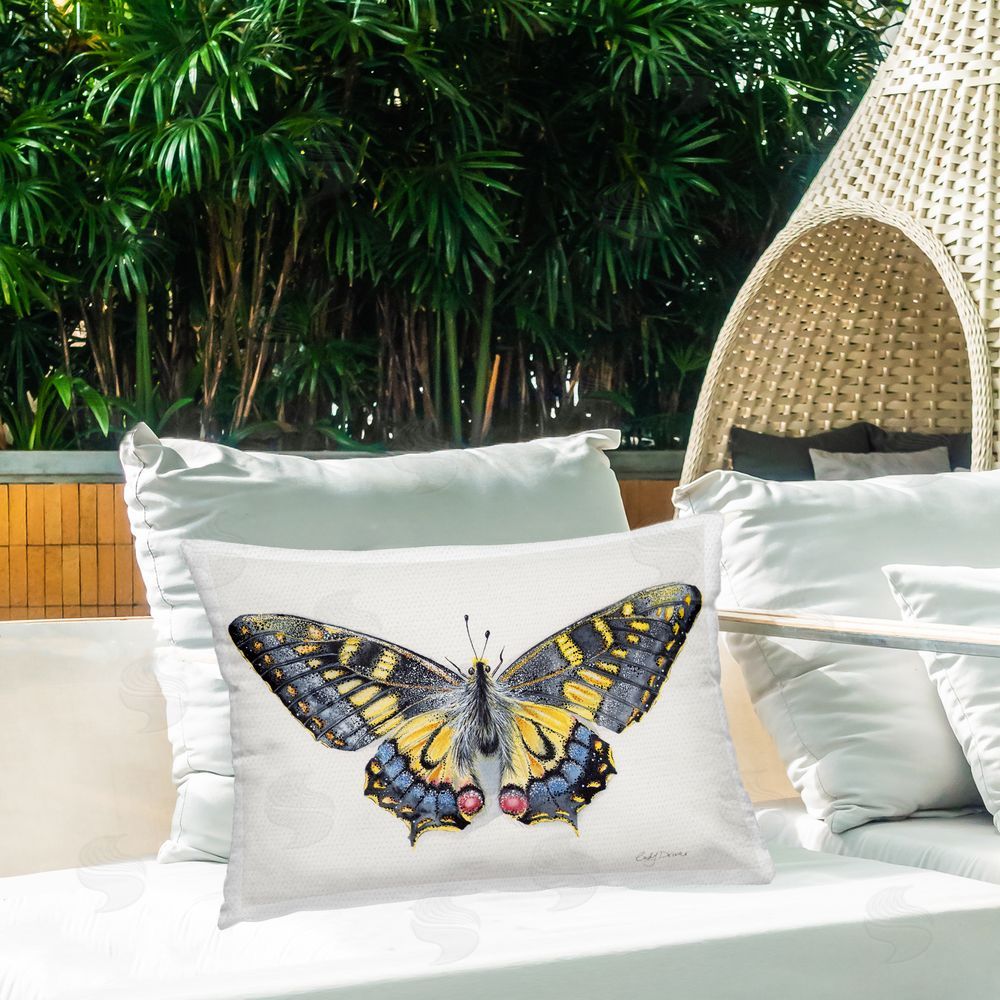 Cady Driver Beautiful Symmetrical Moth Wings Outdoor Printed Throw Pillow on Patio