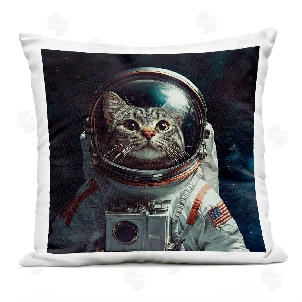 Jim Baldwin Catstronaut Cat Astronaut Outdoor Square Printed Throw Pillow