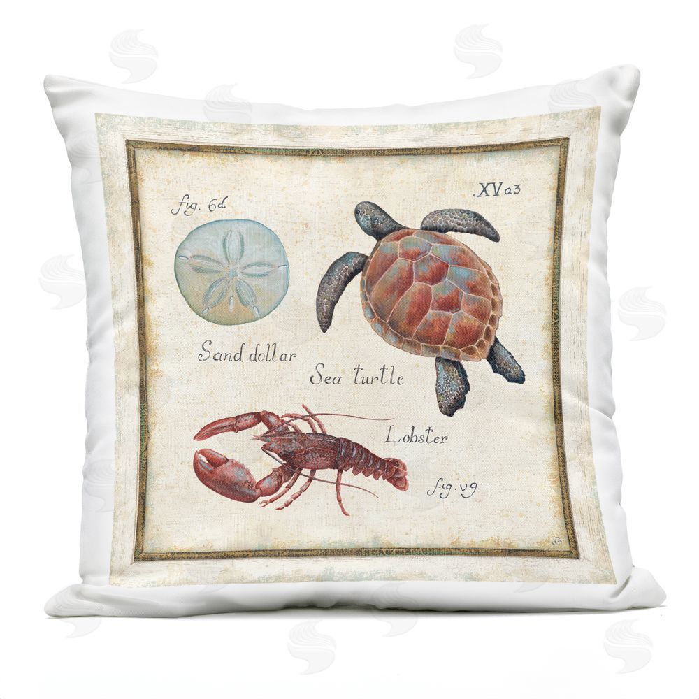 Daphne Brissonnet Oceanography Vintage Turtle Outdoor Quick-Dry Polyester Square Throw Pillow