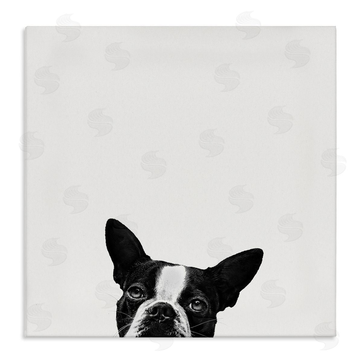 Dog Peeking From Below Canvas Wall Art, Home Decor by Jon Bertelli