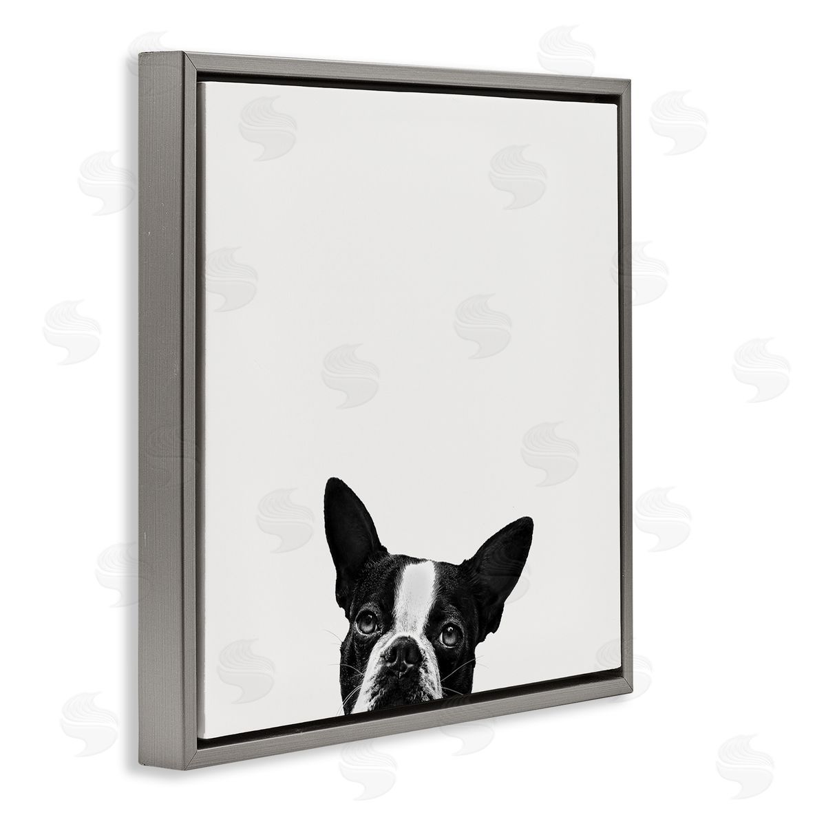Dog Peeking From Below Grey Floating Frame Canvas Wall Art, Home Decor by Jon Bertelli