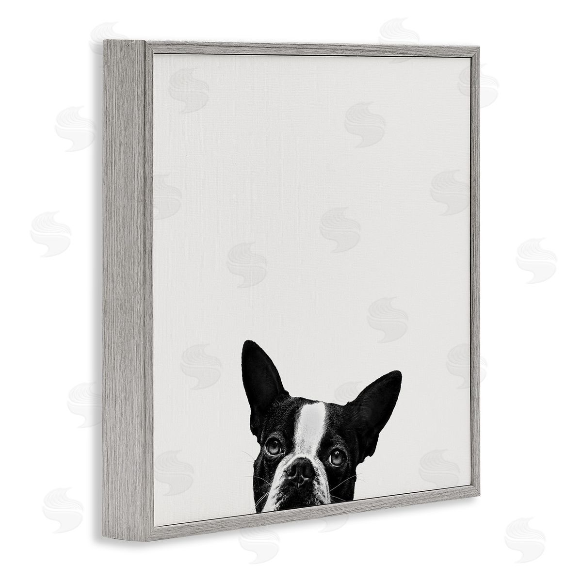 Dog Peeking From Below Grey Frame Print Wall Art, Home Decor by Jon Bertelli