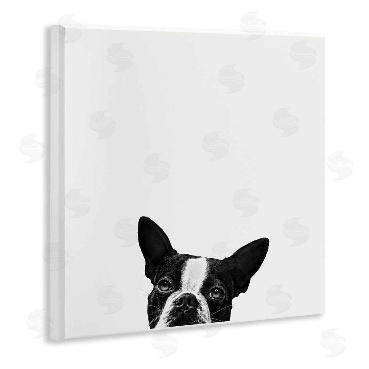Dog Peeking From Below Wood Plaque Wall Art, Home Decor by Jon Bertelli