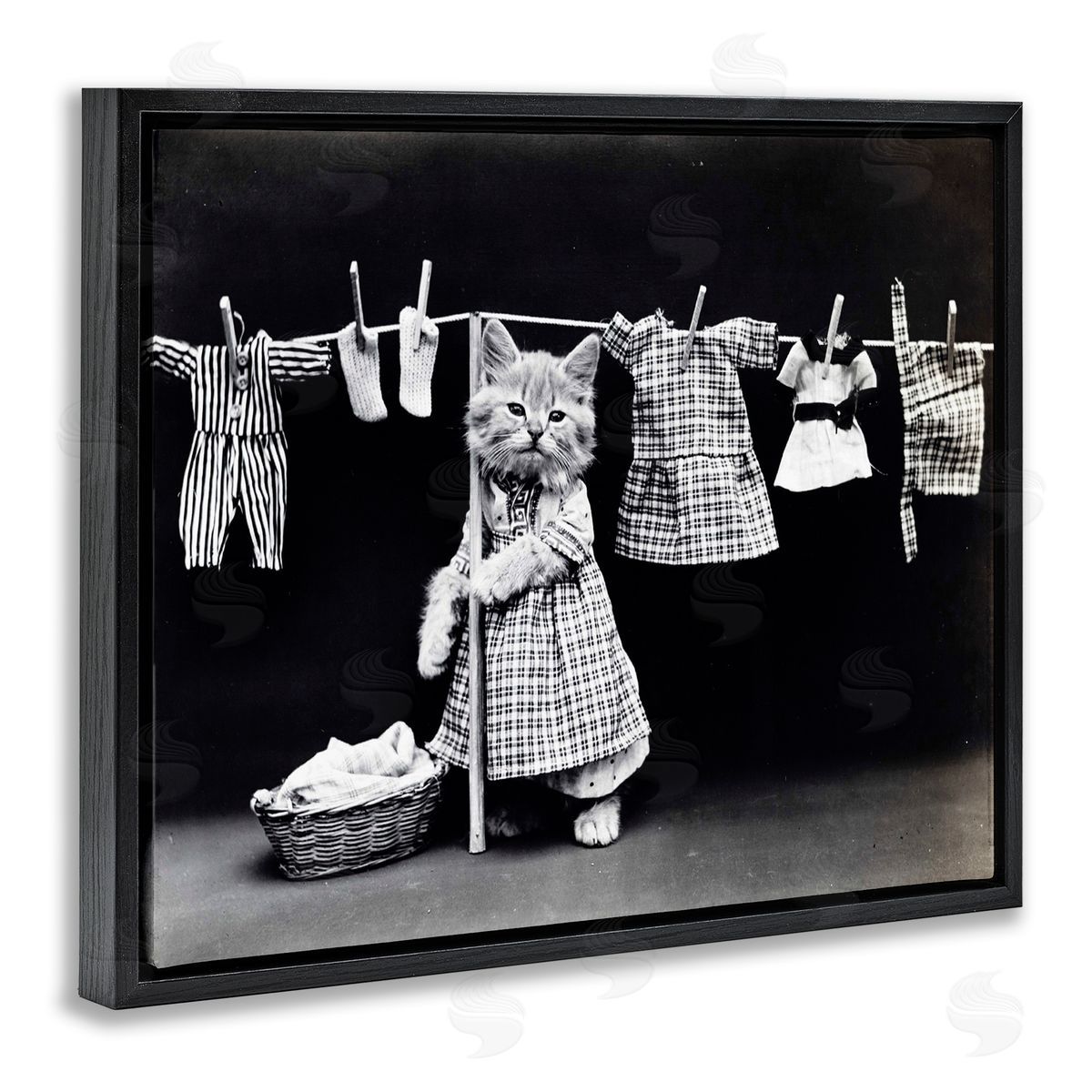 Kitten Does The Laundry Black Floating Frame Canvas Wall Art, Home Decor by Stupell Studio